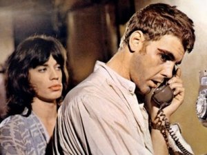 Fox_Jagger_Performance